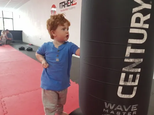 Mini Ninjas